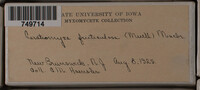 Image Associated With the Occurence